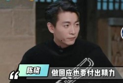 娱乐圈刘大锤爆料,揭秘明星背后的惊人真相